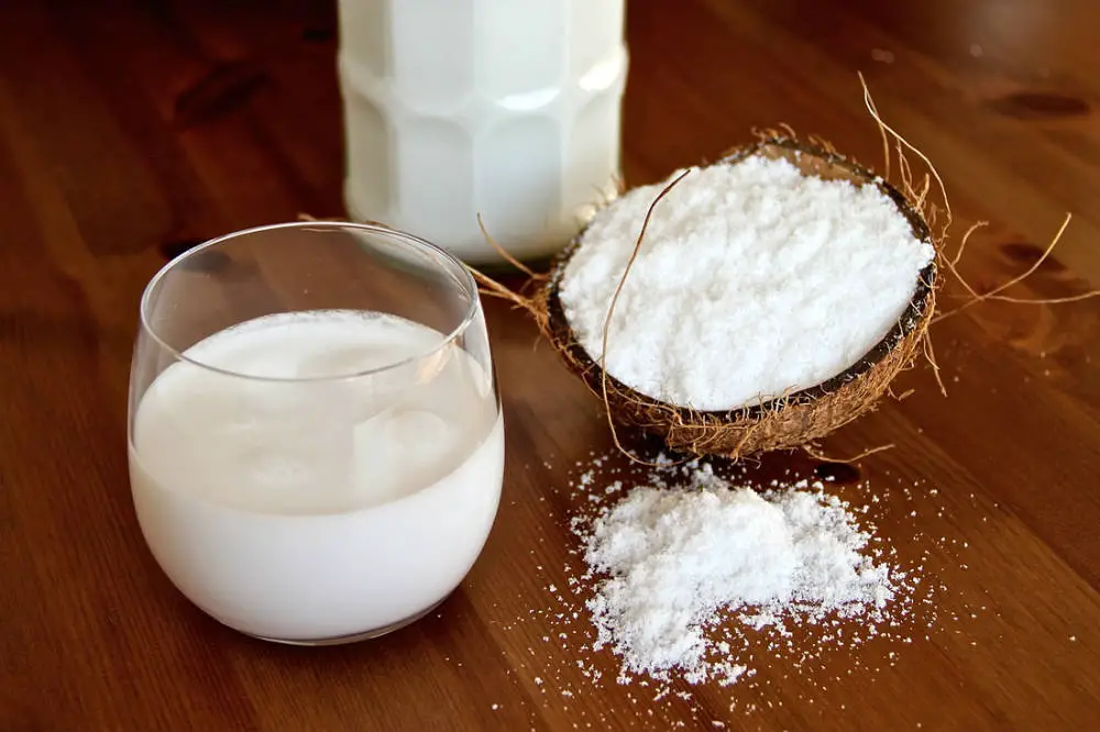 How To Make Coconut Milk at Your Home
