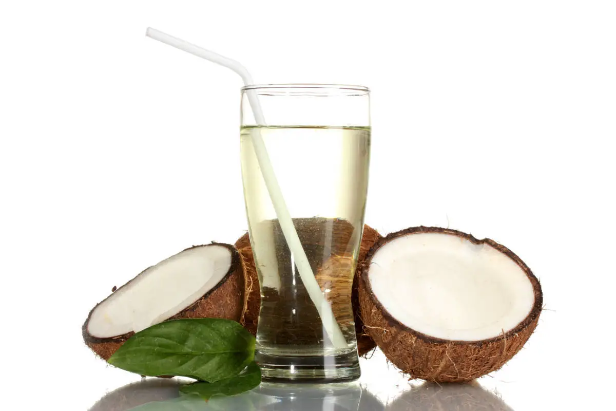 What Happens When You Drink Coconut Water