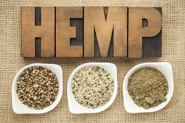 Hemp The Miracle Superfood You’re Not Eating
