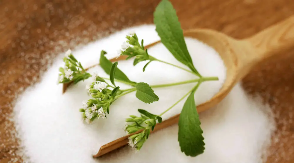 Stevia Ain't ‘Natural’ - The Bitter Truth