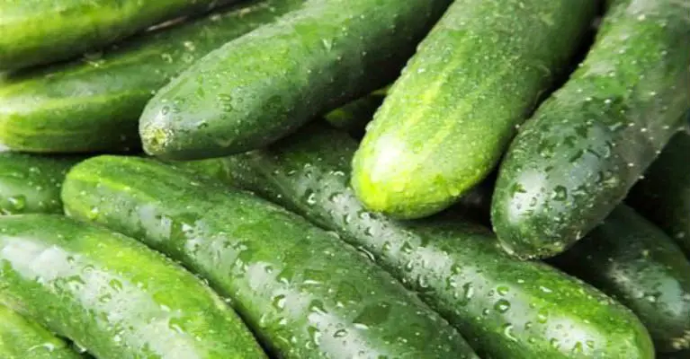 15 Most Impressive Cucumber Health Benefits