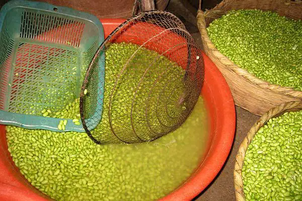 10 Toxic Fake Food from China - Fake green peas