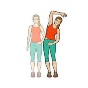 7. 2. The total back stretching7. 1.The total back stretching - Lower Back Pain Relief.png