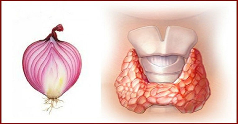 Here's How Red Onion Can Help Fix Your Thyroid Issues