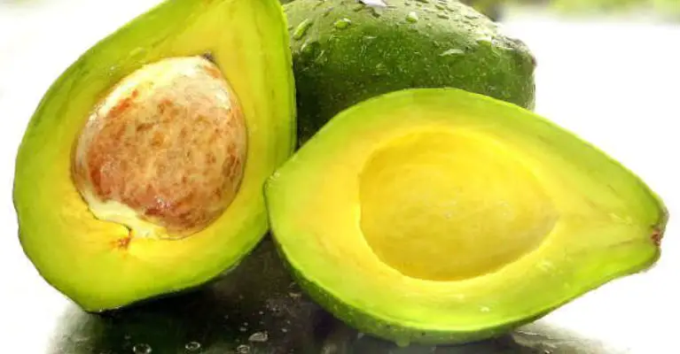 10 Healthy Reasons to Eat More Avocado