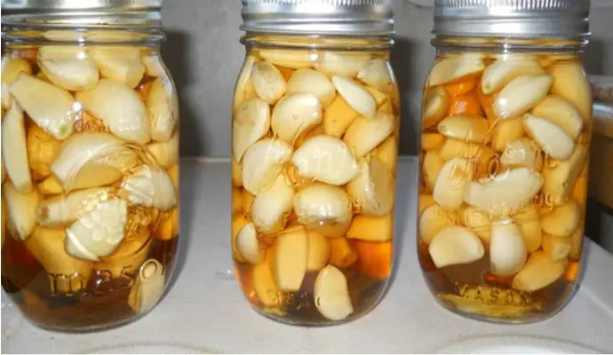 garlic-apple-cider-vinegar-and-honey-natural-combination-that-treats-many-diseases