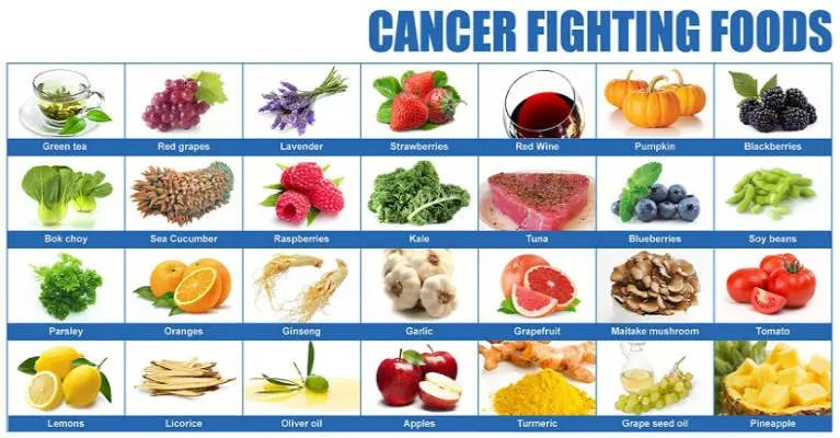 Complete List of Cancer Fighting Foods