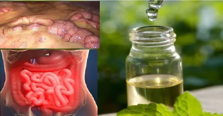 Remove All Toxins From the Body in 3 Days: A Method That Prevents Cancer, Removes Fat and Excess Water!