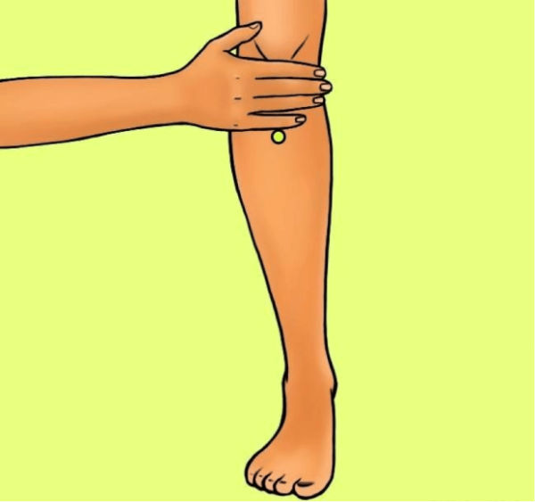 Press These 4 Points On Your Body To Accelerate Your Metabolism and Lose Weight Fast - Leg