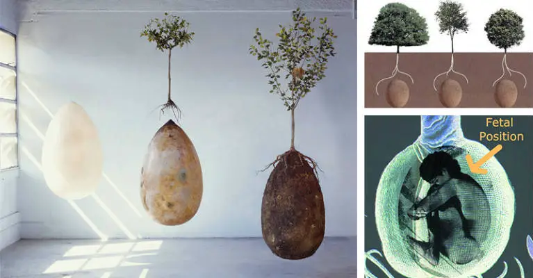 Bye-Bye-Coffins-These-Organic-Burial-Pods-Will-Turn-You-Into-A-Tree-When-You-Die-1.jpg