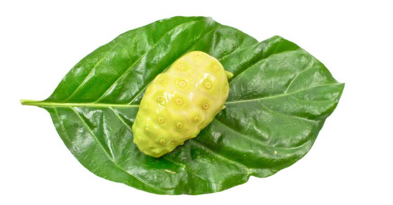 Noni Leaf Extract Superior To Chemotherapy for Lung Cancer (Preclinical Study)