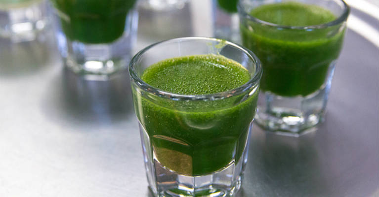 Wheatgrass The Most Alkalizing Food You Should Be Eating Every Day