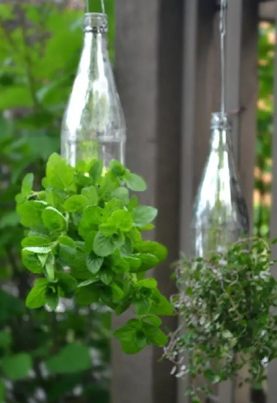 She Sticks Forks in Her Garden for a Truly Genius Reason! 8