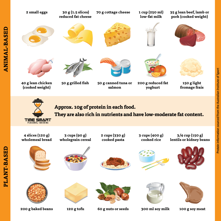 high protein diet to reduce belly fat