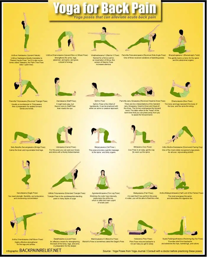 Yoga Asanas For Chronic Back Pain Relief - Infographic